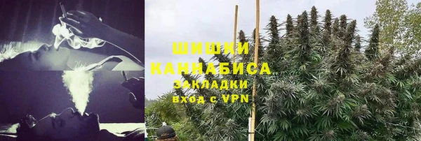 шишки Абинск